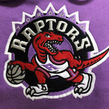 Hoodie Toronto Raptors